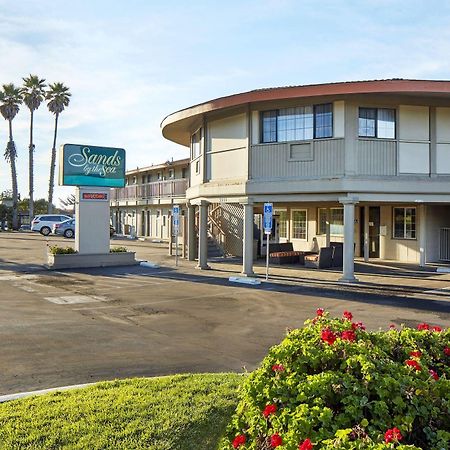 Sands By The Sea Motel San Simeon Eksteriør billede