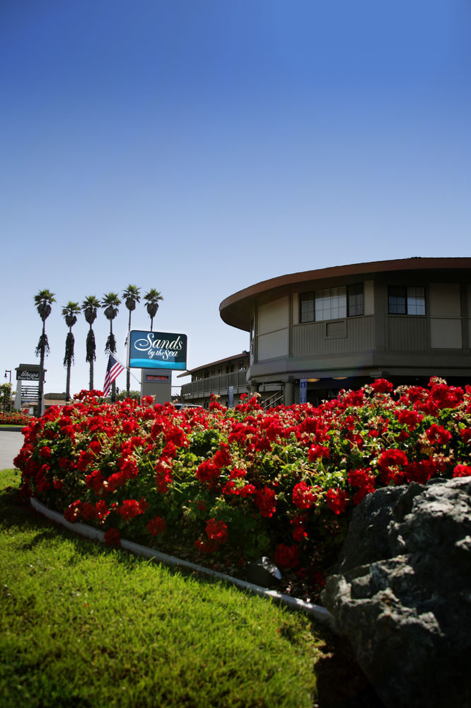 Sands By The Sea Motel San Simeon Eksteriør billede